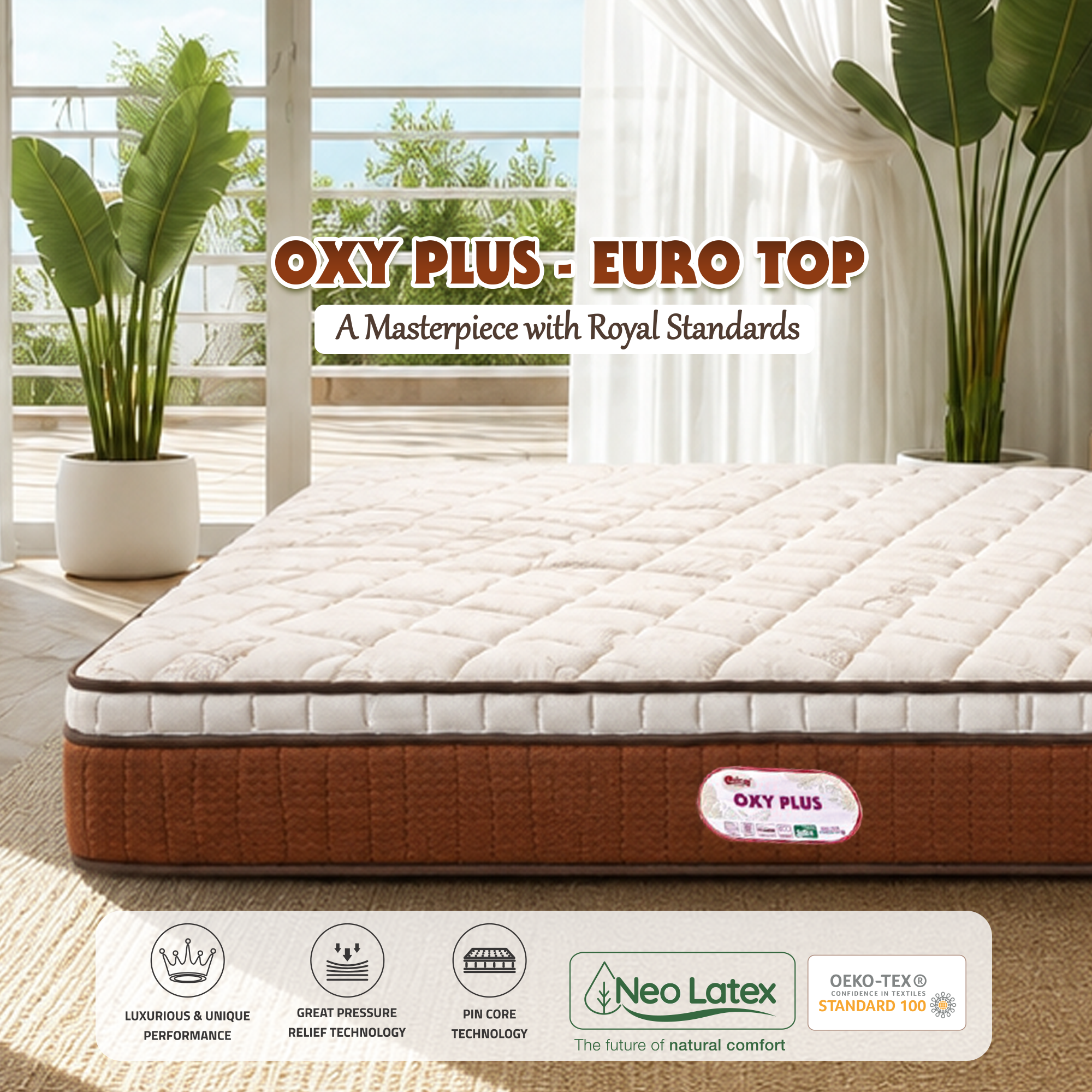 OXY PLUS EURO TOP