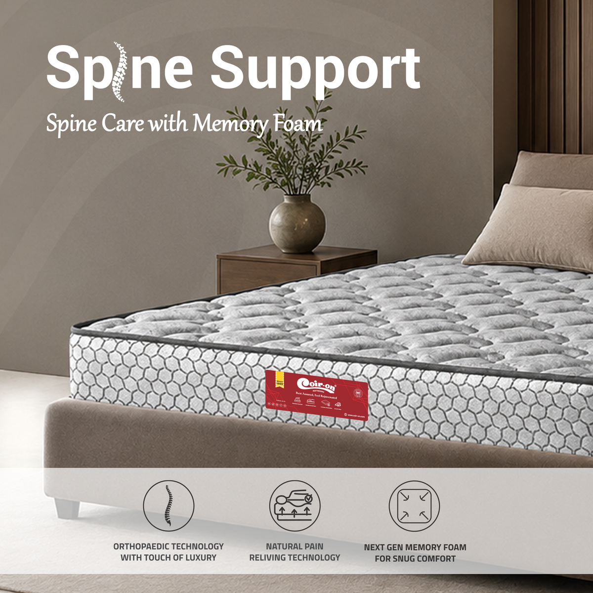Spine Support