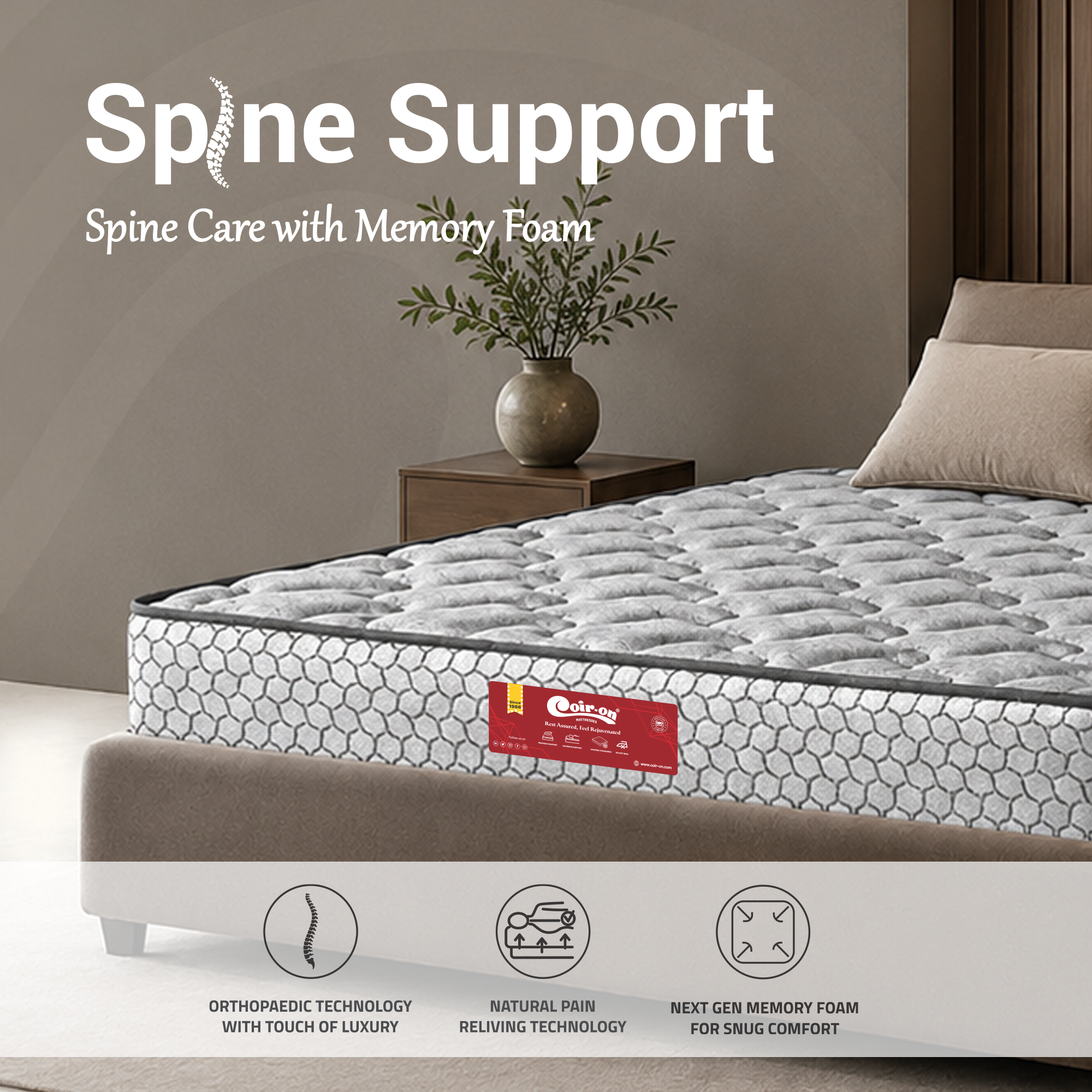 Spine Support