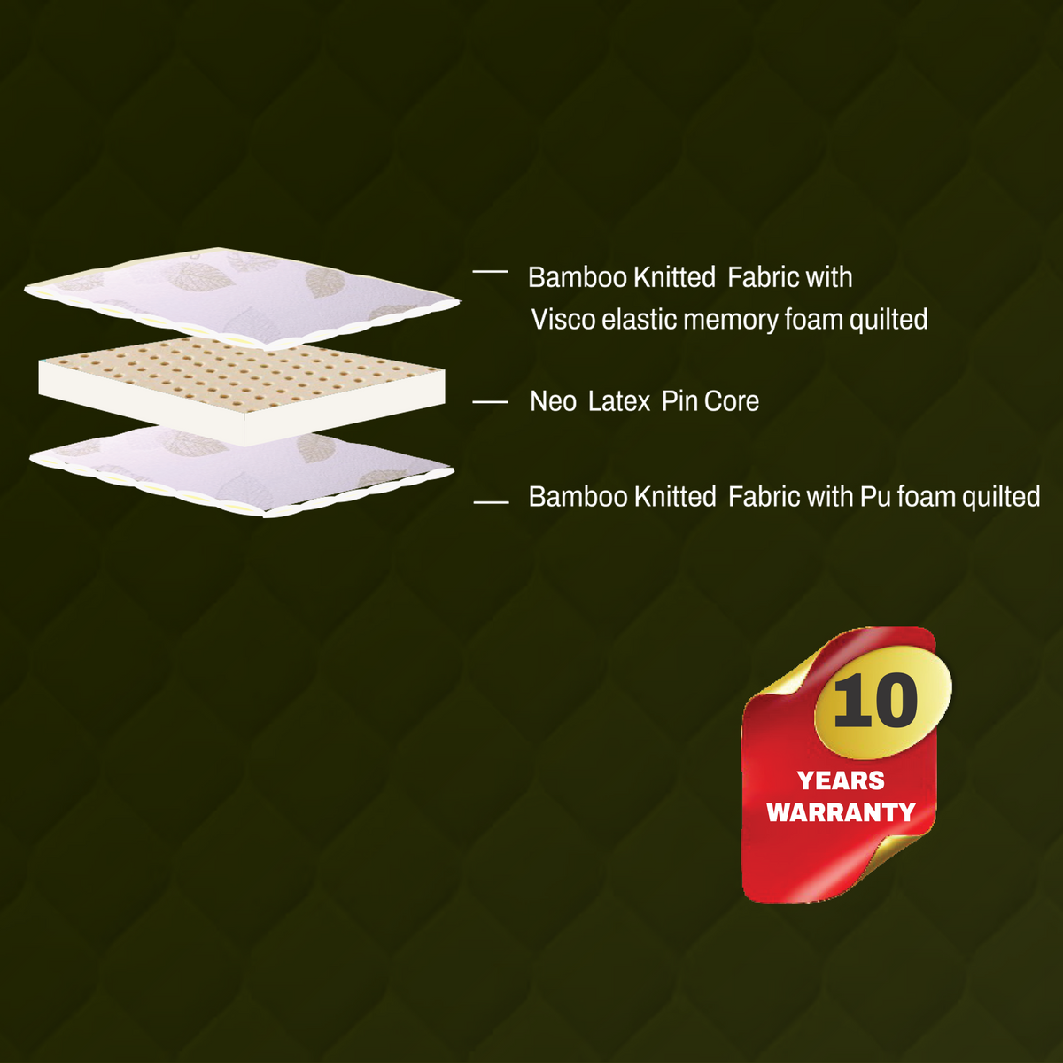 Latex Plus