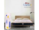 Capsule Orthopedic