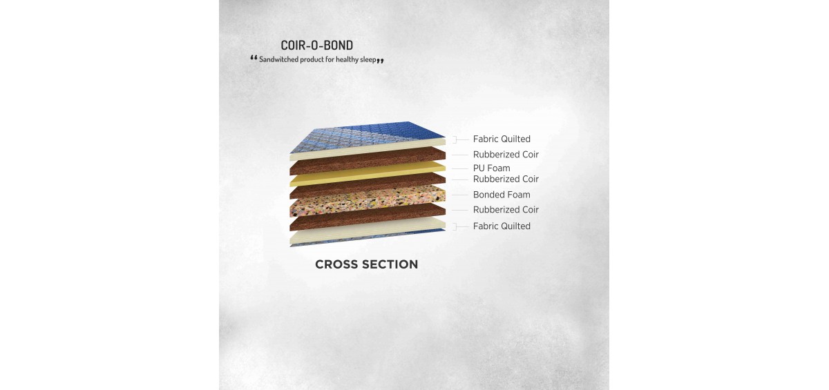 cross_section